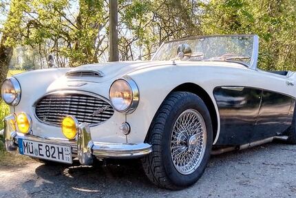 Austin Healey Andere 141.000 km 38.000 &euro; Dorfen 84405